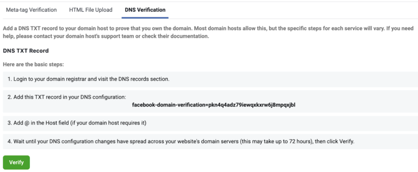 DNS verification