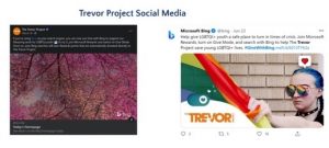 trevor project