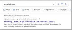 advocacy center google ad